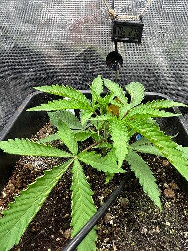 Growreport Bild 11