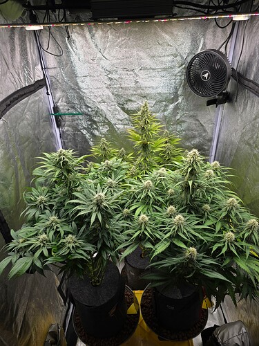 Growreport Bild 4
