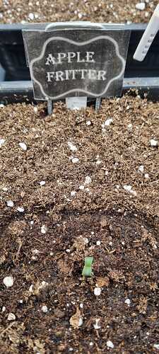 WhatsApp Image 2025-11-19 at 21.56.44 (1)