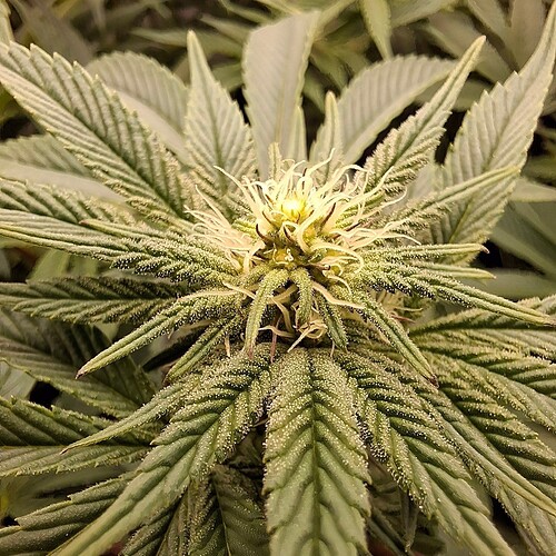 Growreport Bild 22