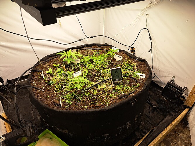 Growreport Bild 6