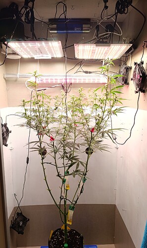 Growreport Bild 15