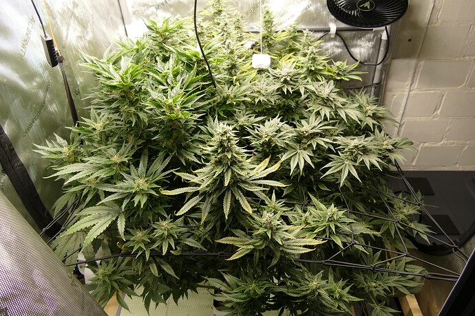 Übersicht_vorne_VT89BT42