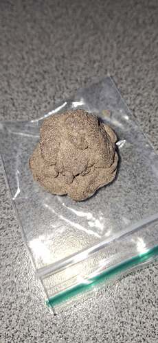 Growreport Bild 69