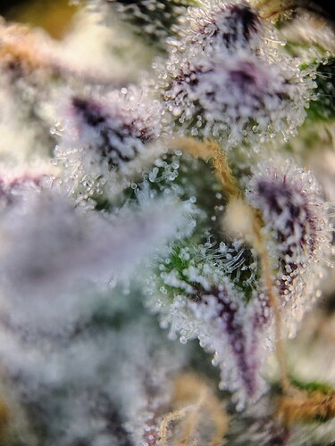 IMG_20250122_070759223_HDR_AE