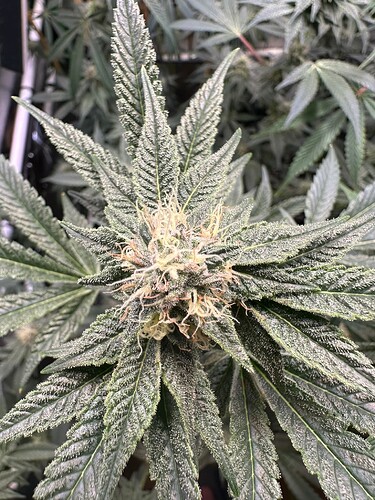 Growreport Bild 10
