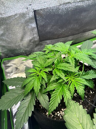 Growreport Bild 13