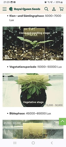 Growreport Bild 3