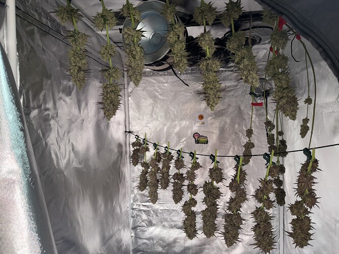 Growreport Bild 25