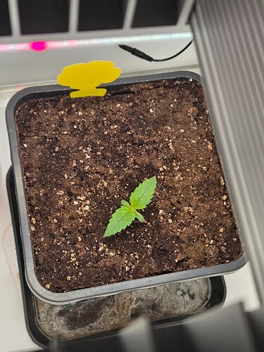 Growreport Bild 2