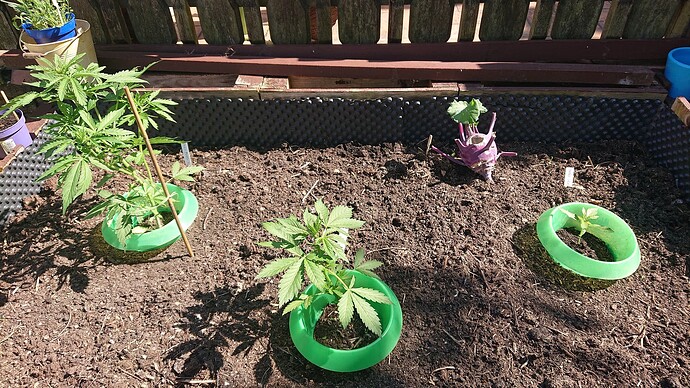 Growreport Bild 44