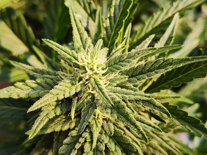 Growreport Bild 17