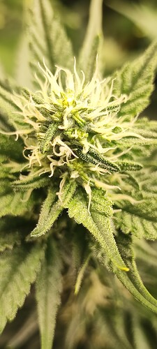 Growreport Bild 20