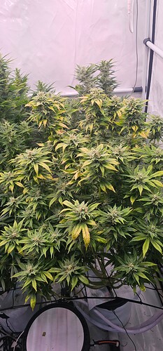 Growreport Bild 2