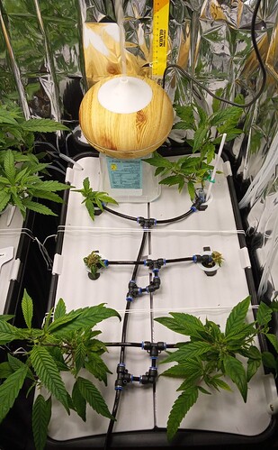 Screenshot_20250323_124047