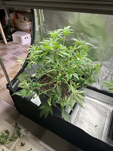 Growreport Bild 5