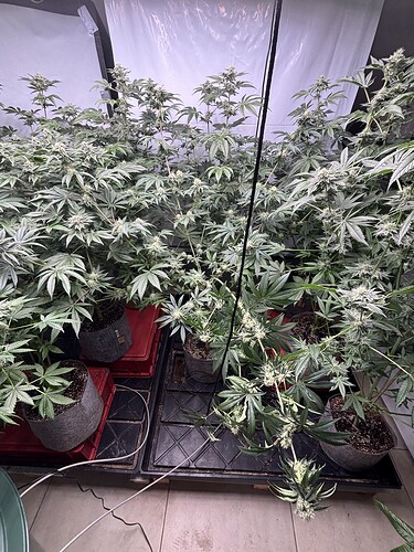 Growreport Bild 20
