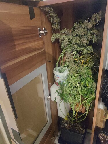 Growreport Bild 24
