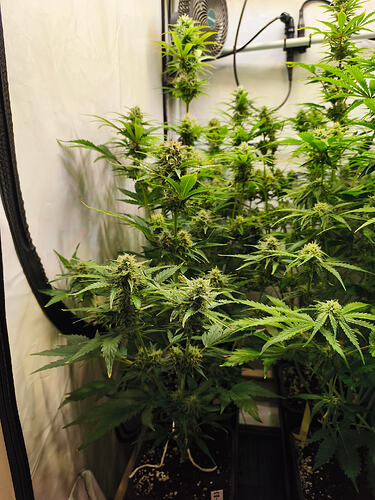 Growreport Bild 10