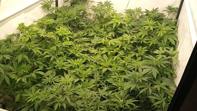 Growreport Bild 10