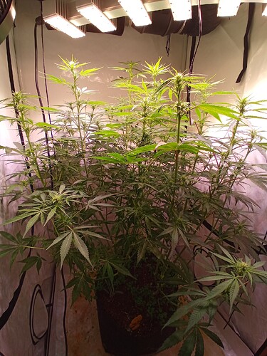Growreport Bild 11