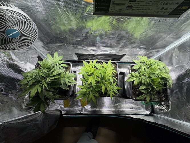 Growreport Bild 4