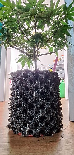 Growreport Bild 11