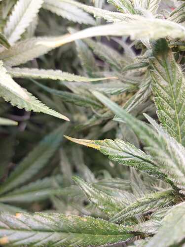 Growreport Bild 2