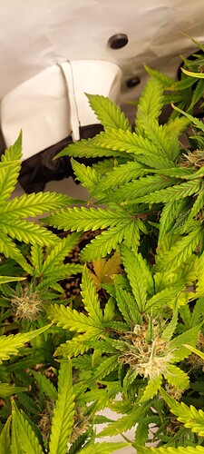 Growreport Bild 2