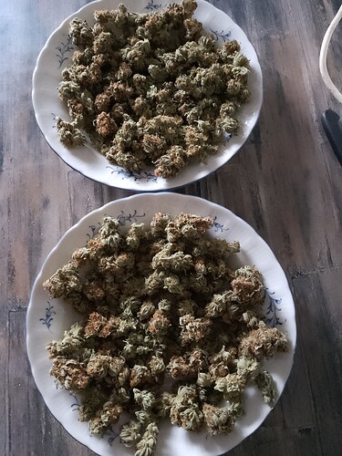 IMG_20240810_193908_409