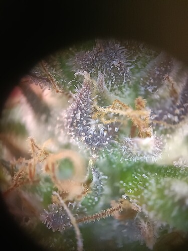 Growreport Bild 18