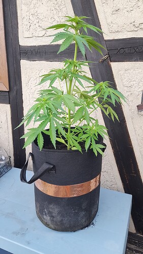 Growreport Bild 23
