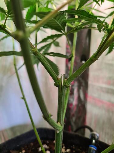 signal-2024-08-17-133102_002