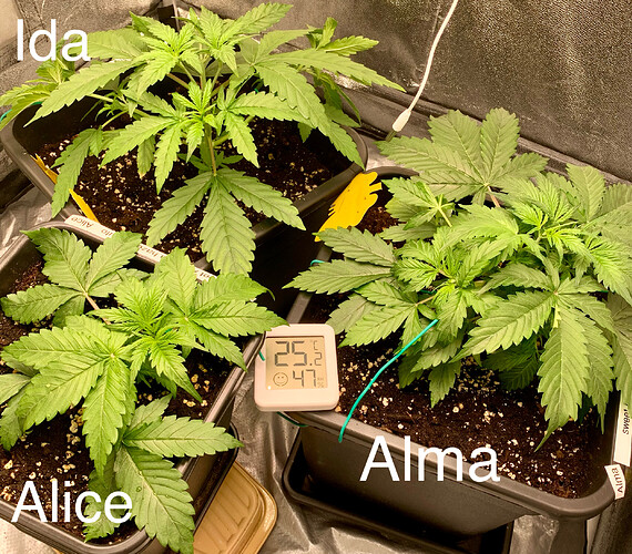 Growreport Bild 8