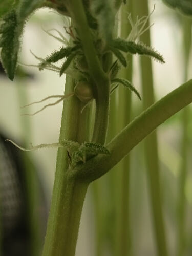 Growreport Bild 19