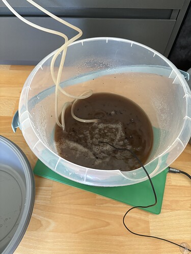 Growreport Bild 65