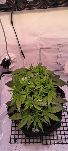 Growreport Bild 7