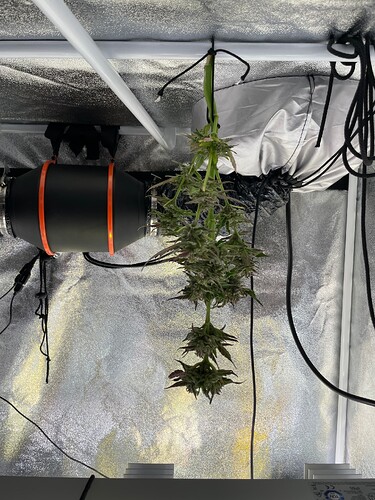 Growreport Bild 42