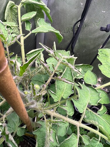 Growreport Bild 34