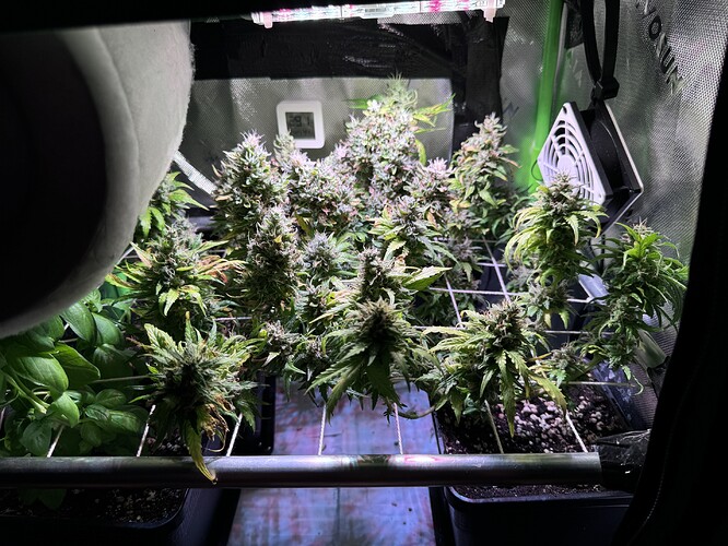 Growreport Bild 1