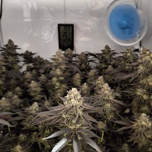 480583171_122169888212293599_4179635266330232284_n