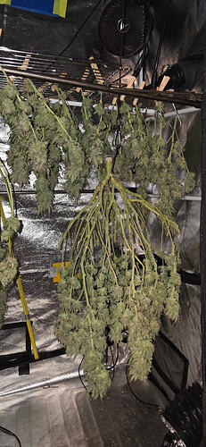 Growreport Bild 49