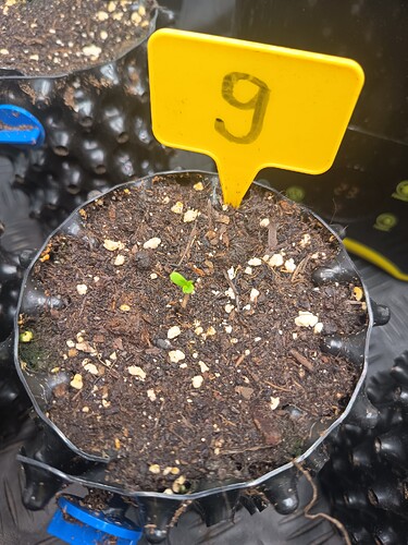 Growreport Bild 28
