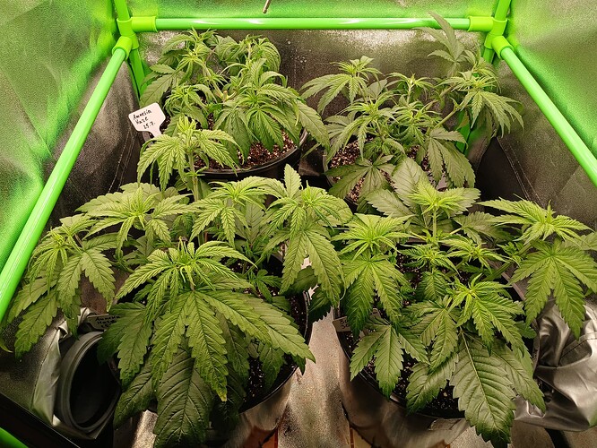 Growreport Bild 18