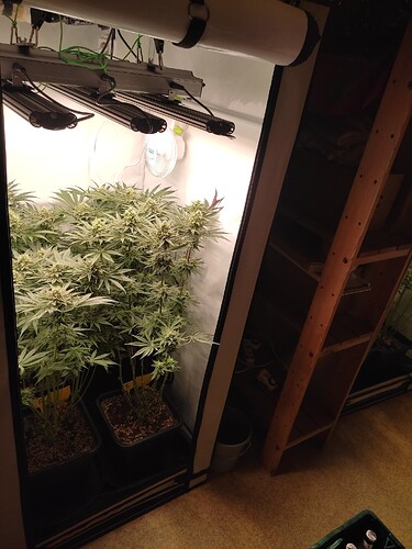 Growreport Bild 11