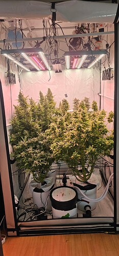 Growreport Bild 1