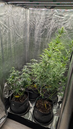 Growreport Bild 16