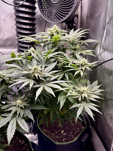 Growreport Bild 2