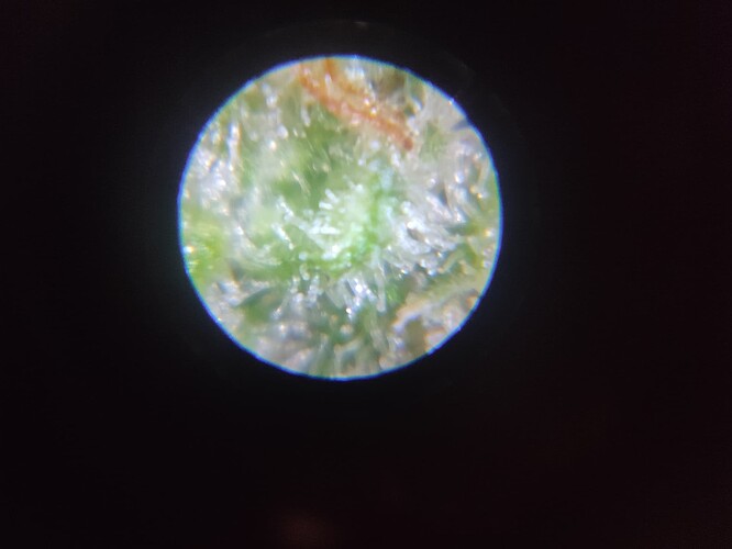 Growreport Bild 16