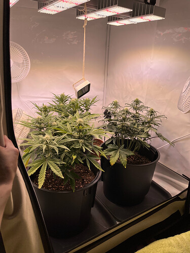 Growreport Bild 14